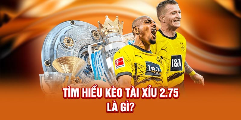 Tìm hiểu kèo tài xỉu 2.75