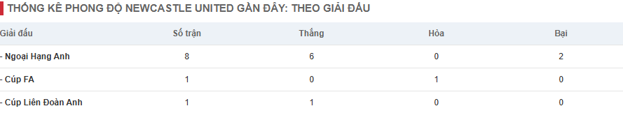 Thống kê phong độ Newcastle United gần đây: theo giải đấu